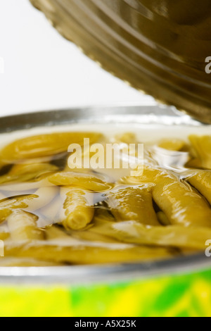 Dose Bohnen Stockfoto