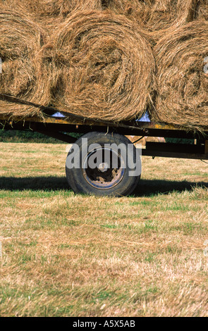 Voll geladen Anhänger von Heu Ballen In North Dorset county England UK Stockfoto