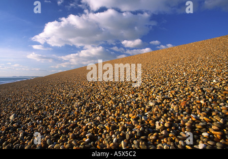 Hang von Chesil Beach entlang dem Dorset Küste England UK Stockfoto