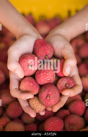 Handvoll Litschis Stockfoto