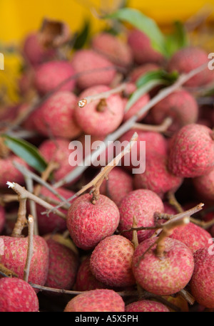 Litschis erntefrisch Stockfoto