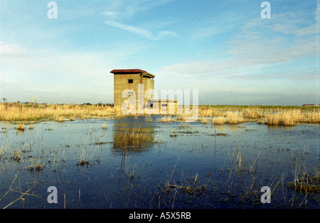 Weltkrieg zwei Aussichtsturm und Ersten Weltkrieg Bunker, East Lane, Bawdsey, Suffolk, Großbritannien. Stockfoto