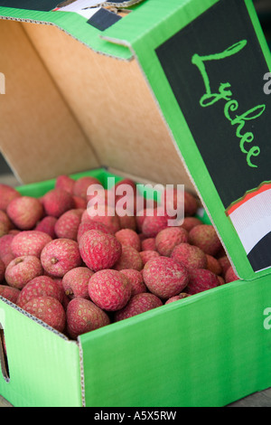 Schachtel mit Litschi - Mareeba, Queensland, Australien Stockfoto