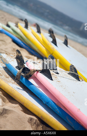 Surfbretter am Strand - Sydney, New South Wales Australien Stockfoto