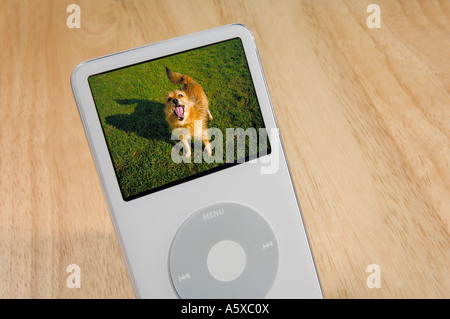 Einen iPod MP3-Player, ein Foto von einem Hund auf dem Bildschirm anzeigen Stockfoto