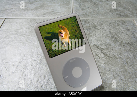 Ein iPod-Player, ein Foto von einem Hund auf dem Bildschirm anzeigen Stockfoto