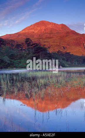 Sgurr Dubh spiegelt sich in Loch Clair im Morgengrauen, Wester Ross, Schottland Stockfoto