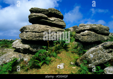 Rosewall Hügel in der Nähe von St Ives Cornwall UK Stockfoto