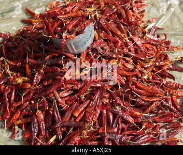 Red Chilli peppers Stockfoto
