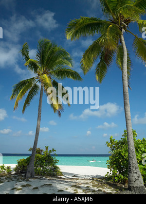 Tropisches Inselparadies Malediven im Indischen Ozean Stockfoto