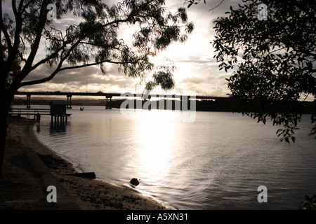AM NACHMITTAG LANDSCHAFT MAROOCHY RIVER SUNSHINE COAST QUEENSLAND AUSTRALIEN Stockfoto