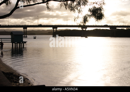 AM NACHMITTAG LANDSCHAFT MAROOCHY RIVER SUNSHINE COAST QUEENSLAND AUSTRALIEN Stockfoto