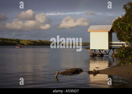 AM NACHMITTAG LANDSCHAFT MAROOCHY RIVER SUNSHINE COAST QUEENSLAND AUSTRALIEN Stockfoto