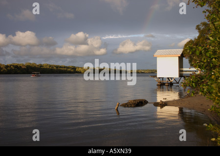 AM NACHMITTAG LANDSCHAFT MAROOCHY RIVER SUNSHINE COAST QUEENSLAND AUSTRALIEN Stockfoto