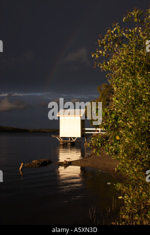 AM NACHMITTAG LANDSCHAFT MAROOCHY RIVER SUNSHINE COAST QUEENSLAND AUSTRALIEN Stockfoto