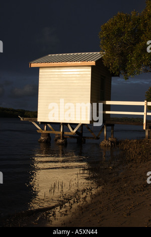 AM NACHMITTAG LANDSCHAFT MAROOCHY RIVER SUNSHINE COAST QUEENSLAND AUSTRALIEN Stockfoto