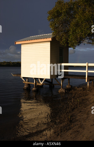 AM NACHMITTAG LANDSCHAFT MAROOCHY RIVER SUNSHINE COAST QUEENSLAND AUSTRALIEN Stockfoto