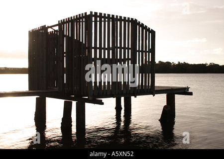 AM NACHMITTAG LANDSCHAFT MAROOCHY RIVER SUNSHINE COAST QUEENSLAND AUSTRALIEN Stockfoto