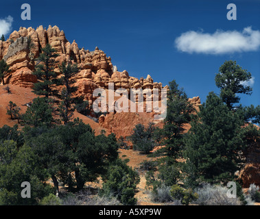 Red Canyon ist eine dramatische Landschaft im südlichen Utah nahe dem Eingang zum Bryce Canyon National Park Stockfoto