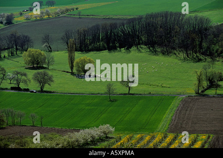 Landschaft an der Grenze der Limagne Ebene (Frankreich). Paysage de Grenze De La Plaine De La Limagne. (Frankreich). Stockfoto