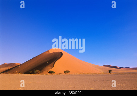 Sanddünen Soussevlei Namibia Stockfoto