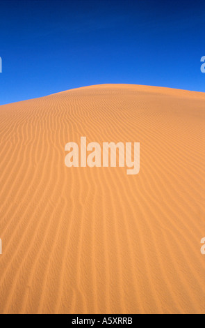 Sanddünen Soussevlei Namibia Stockfoto