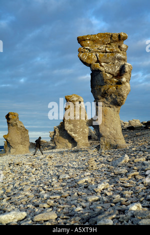 Rauk Steinen ein geologisches Phänomen. Kalkstein gemahlen von Meer und Wind. Langhammars Naturschutzgebiet auf krassen Küste von Gotland Stockfoto