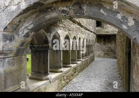 Kreuzgang, Ross Errilly Franziskanerklosters, in der Nähe der Headford, County Galway, Irland Stockfoto