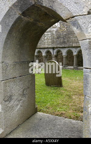 Kreuzgang, Ross Errilly Franziskanerklosters, in der Nähe der Headford, County Galway, Irland Stockfoto