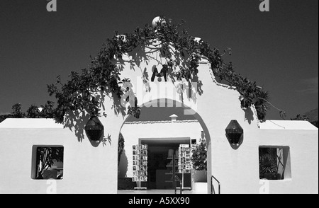 Taro de Tahiche, Cesar Manriques ehemaligen Haus, Lanzarote, Kanarische Inseln, Spanien Stockfoto