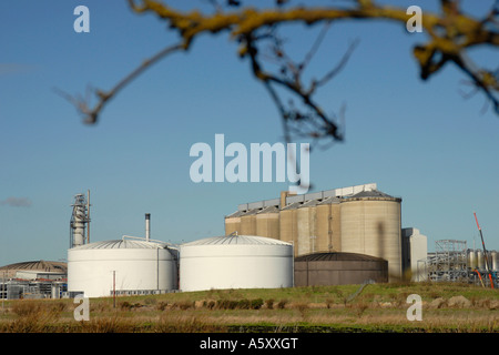 British Sugar Verarbeitungsbetrieb Watlington Norfolk UK Stockfoto