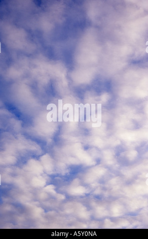 Sanfte weiße Stratocumulus Wolken unter einem mittleren blauen Himmel Stockfoto