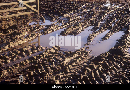 Detail der ein Feld Eingang zeigt Teil einer Farm Gate und Traktor Reifen Furchen durch eine Pfütze in gute reiche Mutterboden Stockfoto