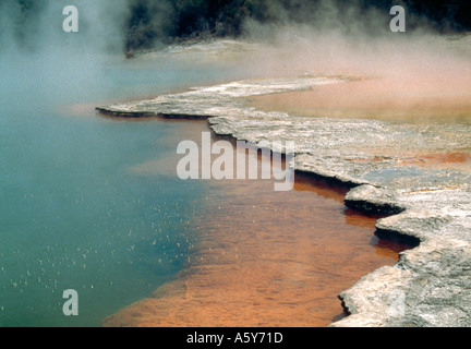 Champagne Pools im Waiotapu, NI-Neuseeland Stockfoto