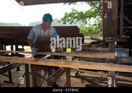 Arbeiter schneiden Protokollen an ein Sägewerk in Argentinien. Stockfoto