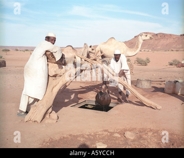 Nomadische Männer in der Nähe von Wasser Waschbecken in der Wüste, Sudan Stockfoto