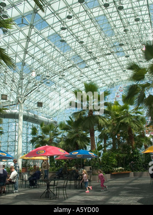 NAVY PIER Palmen Chicago Illinois Kristallgarten indoor Garten Brunnen