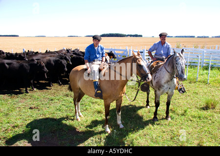 Gaucho Cowboys zu Pferd in der Nähe von Necochea, Argentinien. Stockfoto