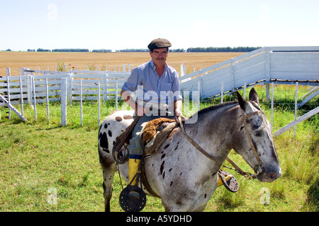 Gaucho Cowboy auf dem Rücken der Pferde in der Nähe von Necochea, Argentinien. Stockfoto