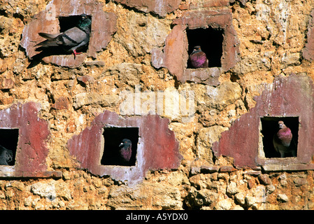 Taube-Löcher auf einem Stein Wand in San Juan, Puerto Rico. Stockfoto