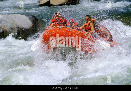 Wildwasser-rafting auf dem Payette River in Idaho. Stockfoto