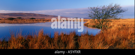 Breiten Pool, Cefn Bryn, Gower Halbinsel, Süd-Wales, UK. Stockfoto