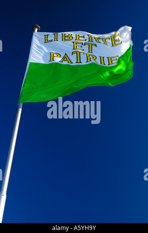 Das Wappen des Schweizer Kantons Waadt, vor einem dunklen blauen Himmel fliegen Stockfoto