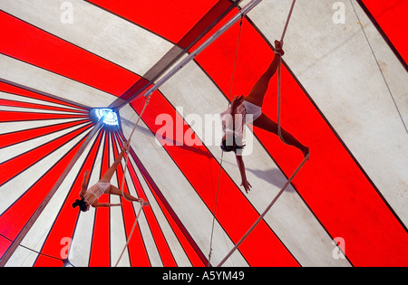 Zirkusartisten auf die Antenne Seile im Zirkuszelt Stockfoto