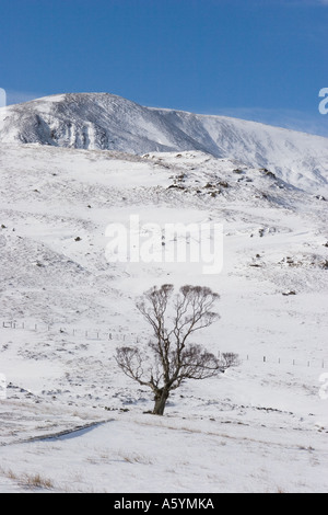 Glen Clunie auf dem Weg zur Glenshee, schneebedeckten Banken und gefrorenen Fluss, Braemar, A93 Landstraße nach Glenshee, Schottland, Vereinigtes Königreich Stockfoto