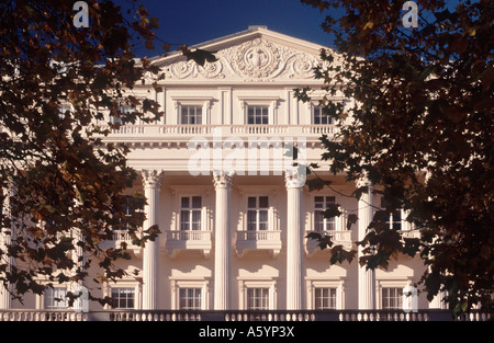 Creme farbigen Spalten von Carlton House Terrace (John Nash, 1927-32) mit Blick auf The Mall, umrahmt von Platanen, London, Englan Stockfoto