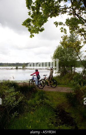 Teenager Radfahrer betrachten eine schwarze Leitung Möwe-Kolonie in Delamere Wald Cheshire Stockfoto