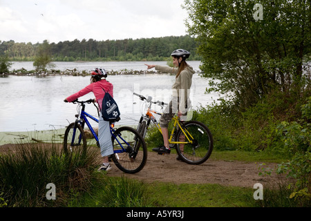 Teenager Radfahrer betrachten eine schwarze Leitung Möwe-Kolonie in Delamere Wald Cheshire Stockfoto