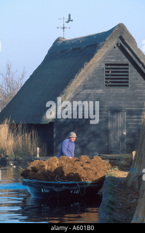 ERIC EDWARDS REED CUTTER MIT GESTAPELTEN SCHILF ON BOOT AUF DEM FLUSS ANT AN WIE HILL NORFOLK EAST ANGLIA ENGLAND UK Stockfoto