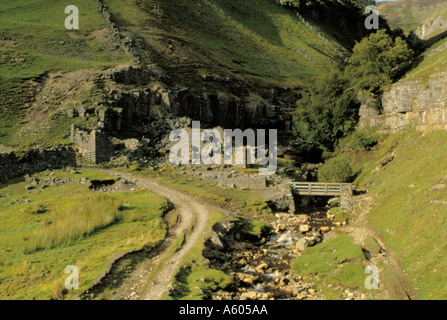 Reste führen der alten Minenarbeiten am Fuße des Swinner Gill, in der Nähe von Keld, obere Swaledale, North Yorkshire, England, UK. Stockfoto
